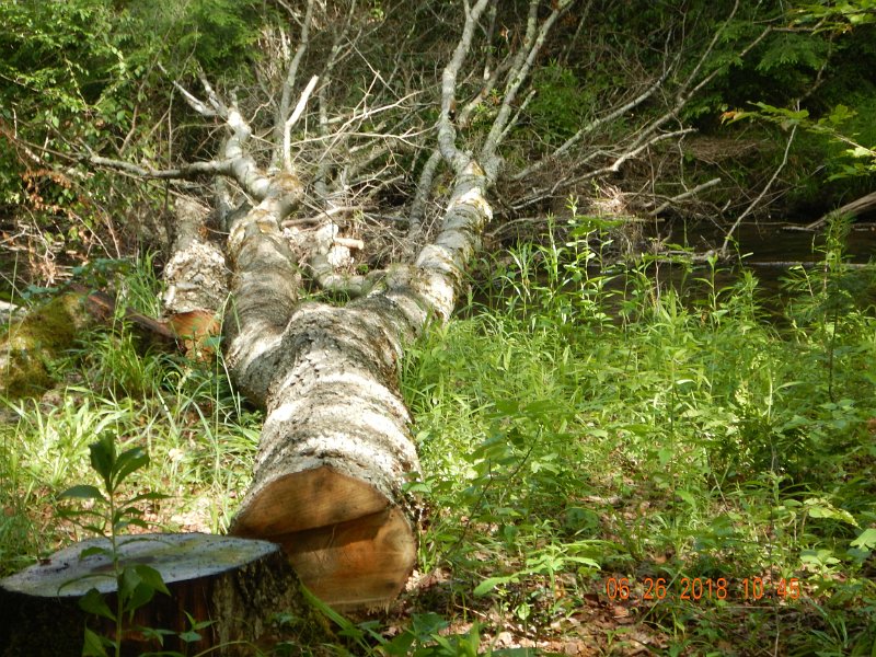 -Kettle Valley-128-.jpg - Another across the stream.